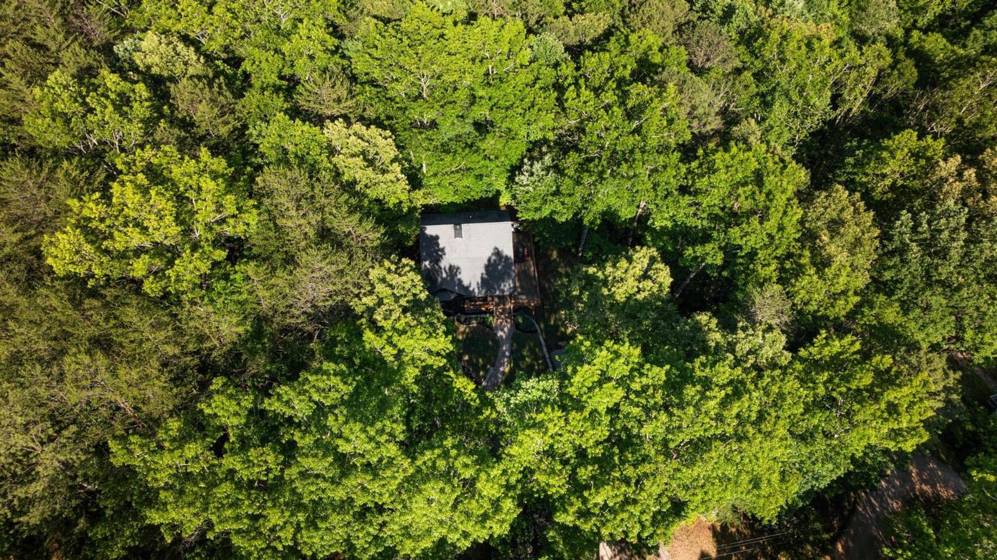 Lux Mtn Cabin Hot Tub, Fire Pit, Game Room 3Bd Franklin Esterno foto